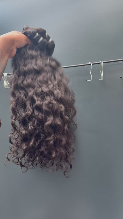 Indian Curly