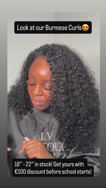 Burmese Curly